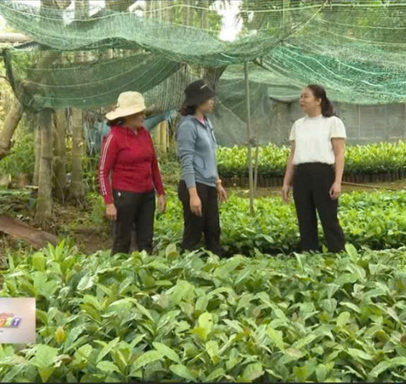Sử dụng nguồn vốn vay ưu đãi của Ngân hàng chính sách xã hội có hiệu quả vào việc phát triển kinh tế hộ gia đình trên địa bàn xã Ea Tiêu, huyện Cư Kuin, tỉnh Đắk Lắk
